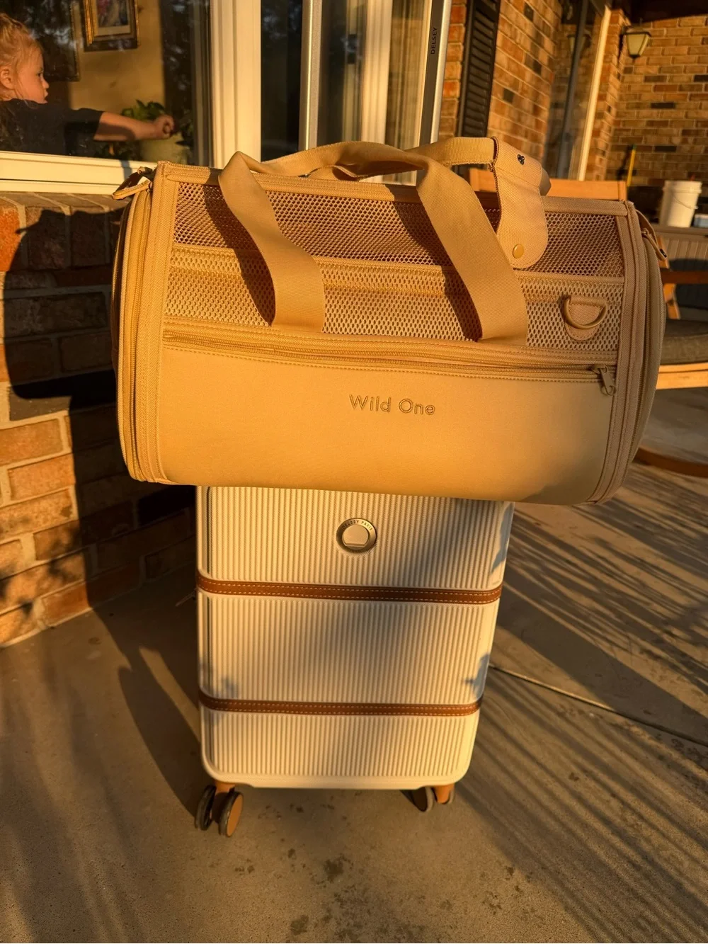 Wild One Cream Pet Travel Carrier with Padded Shoulder Strap